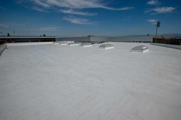 Best Chimney Flashing Repair  in Chaffee, MO