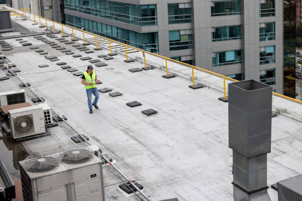 Best Roof Coating and Sealing  in Chaffee, MO